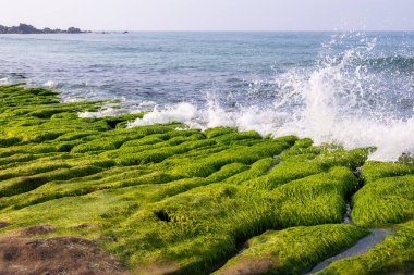 Laomei yeşil resif Tayvan