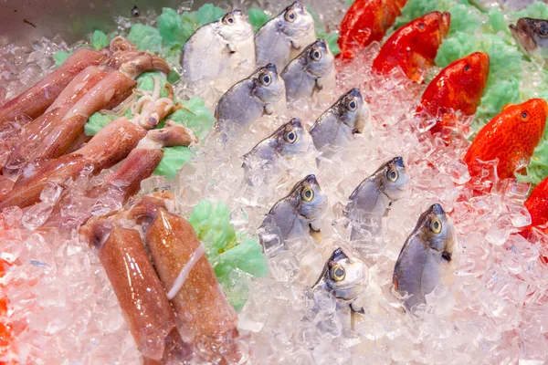 Seafood Selling Wet Market — Stock Photo, Image