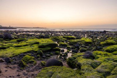 Gün batımında Tayvan 'daki Laomei Yeşil Resifi' nin üzerinde deniz dalgası