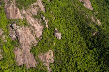 Dağdaki yemyeşil bitkinin havadan görünüşü