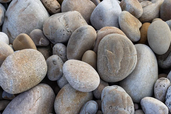 Pedra Seixo Sobre Litoral — Fotografia de Stock