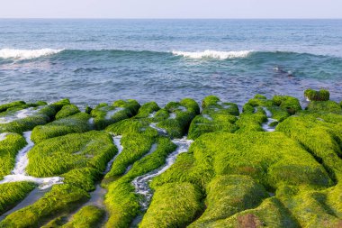 Laomei yeşil resif Tayvan
