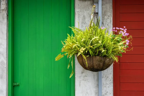 Potted Flower Hanging Outdoor — Stock Photo, Image