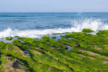 Laomei yeşil resif Tayvan
