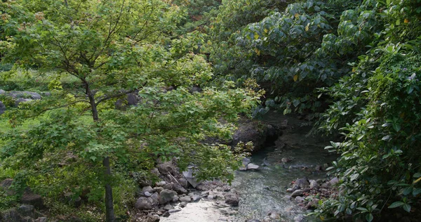 Natureza Onsen Que Flui Rio Xinbeitou Taiwan — Fotografia de Stock