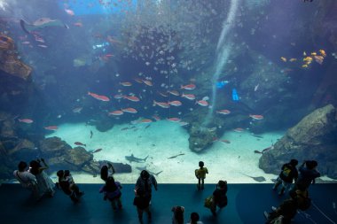 Taoyuan, Tayvan - 07 Temmuz 2022: Xpark Akvaryumu