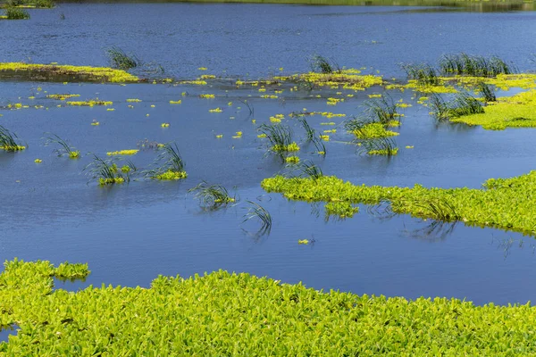 Gugang Lake Kinmen Taiwan — Stock Photo, Image