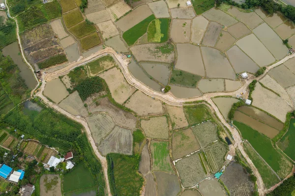 Top View Rice Field Hong Kong Sheung Shui — Stock Photo, Image