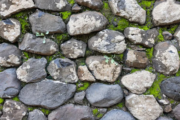Ściana Kamień Zewnątrz — Zdjęcie stockowe