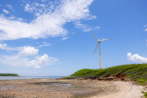 Wind Turbine Sea Beach — Fotografia de Stock