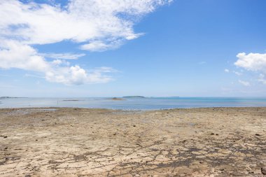 Açık mavi gökyüzü olan kumsal