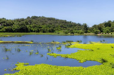 Tayvan 'daki Gugang Gölü