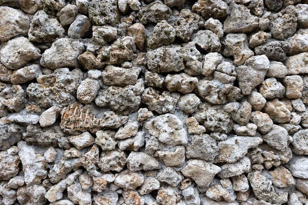 Dry Coral Stone Wall Outdoor — Stock Photo, Image