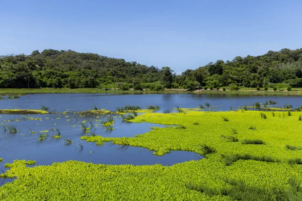 Jezero Gugang Tchaj Wanu Kinmen — Stock fotografie