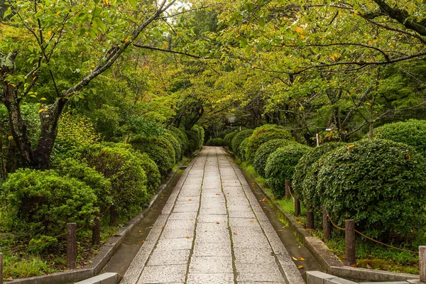 Japanese Garden Park Green Lush Tree — Zdjęcie stockowe