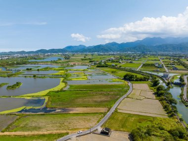 Top view of Dongshan rice meadow in Yilan of Taiwan