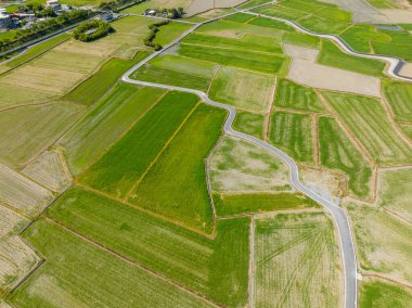 Top view of Dongshan rice meadow in Yilan of Taiwan