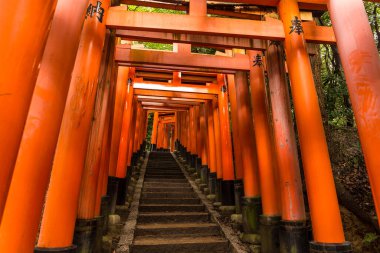 Fushimi Inari Taisha Tapınağı Kyoto, Japonya