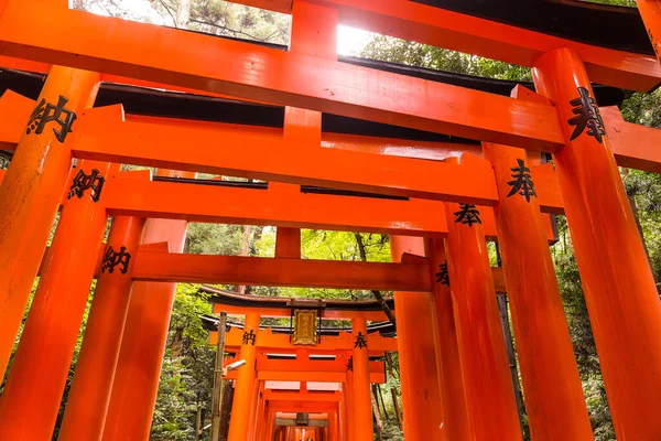 Fushimi Enare Taisha Helgedomen Kyoto Japan — Stockfoto