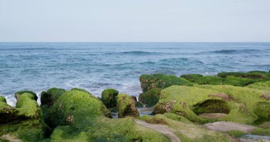 Laomei yeşil resif Tayvan