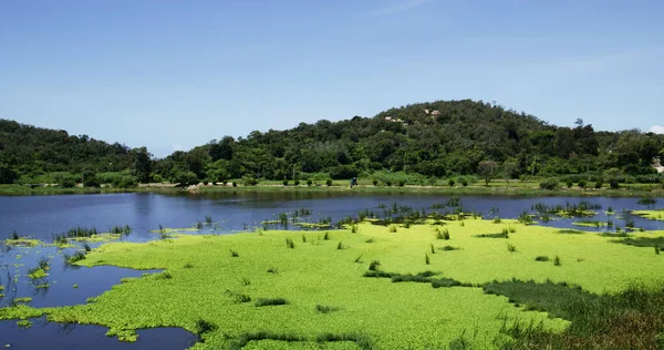 Věž Gugang Jezero Gugang Tchaj Wanu — Stock fotografie