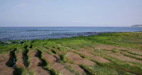 Laomei Green Reef Taiwan — Stockfoto