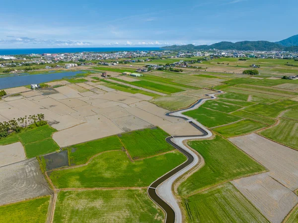 Top View Dongshan Rice Meadow Yilan Taiwan — Foto de Stock