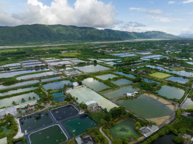 Top view of fish pond and field in Hualien of Taiwan