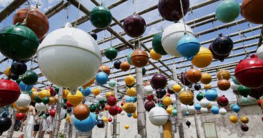 Tayvan 'daki Penghu Nanliao' da renkli yüzen top.