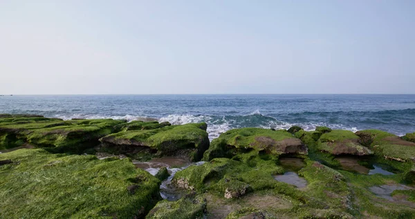 Зеленый Риф Лаомея — стоковое фото