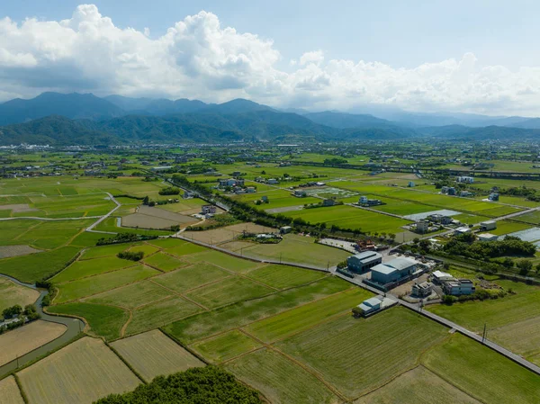 Top view of Dongshan rice meadow in Yilan of Taiwan