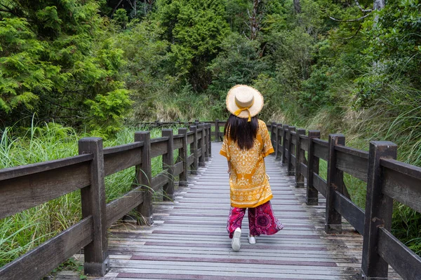 Travel Woman Walk Wooden Path Forest — Stockfoto