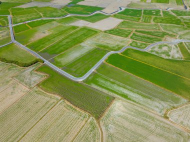 Top view of Dongshan rice meadow in Yilan of Taiwan