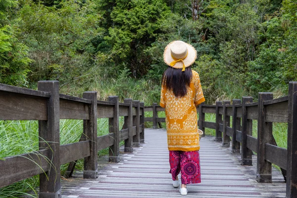 Travel Woman Walk Wooden Path Forest — Stok fotoğraf