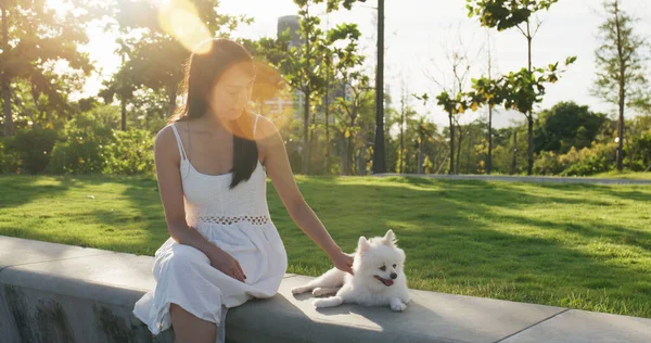 Kvinna Med Sin Pommerska Hund Parken Solen Fackla — Stockfoto