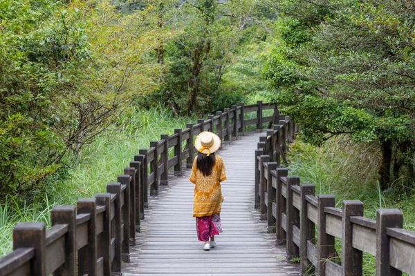 Travel Woman Walk Wooden Path Forest — Stock Fotó