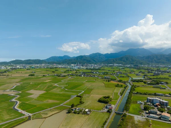 Top View Dongshan Rice Meadow Yilan Taiwan — Stock fotografie