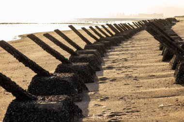 Tayvan 'ın Kinmen sahilinde iniş karşıtları