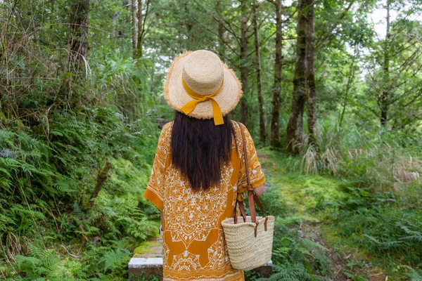 Viaje Mujer Woamn Caminando Bosque — Foto de Stock