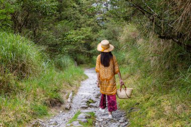 Travel woman walk in the forest in Taipingshan in Taiwan
