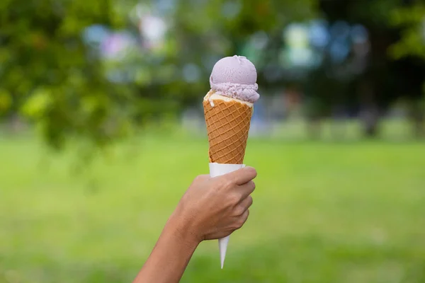 Tenir Avec Crème Glacée Dans Parc Vert — Photo