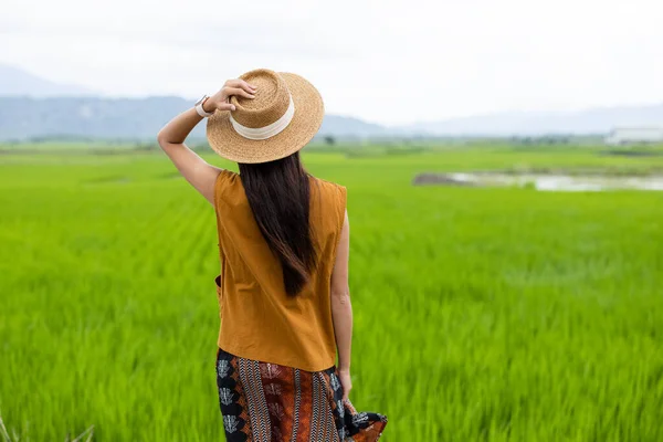 Travel Kvinna Besöka Riset Paddyfält — Stockfoto