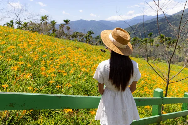 Туристка Посетила Цветочное Поле Оранжевого Дня Горе Таймали Тайтуне — стоковое фото