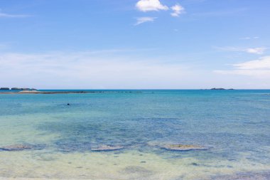 Plajda kristal berrak deniz dalgası