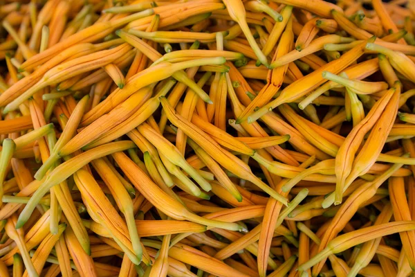 Cosecha Flores Naranja Seca Granja — Foto de Stock