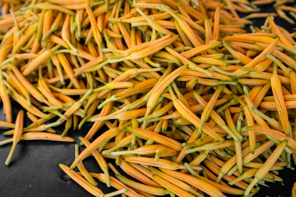 Cosecha Flores Lirio Naranja Seca Granja — Foto de Stock