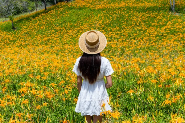 Туристка Приезжает Таймали Красивым Цветком Лилии Оранжевого Дня — стоковое фото