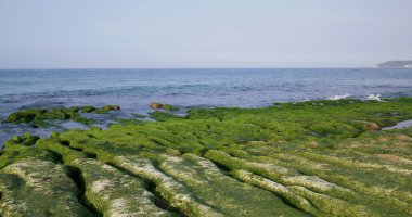 Laomei yeşil resif Tayvan