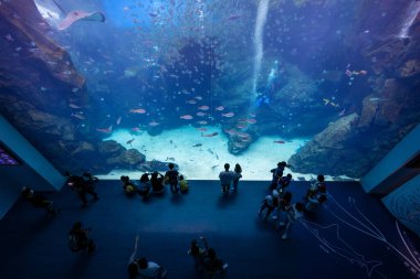 Taoyuan, Tayvan - 06 Temmuz 2022: Tayvan 'da Xpark Akvaryumu