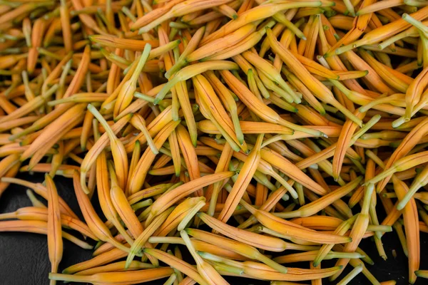 Cosecha Flores Lirio Naranja Seca Granja — Foto de Stock